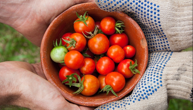 Kire tuma demons vel eum iriure dolor